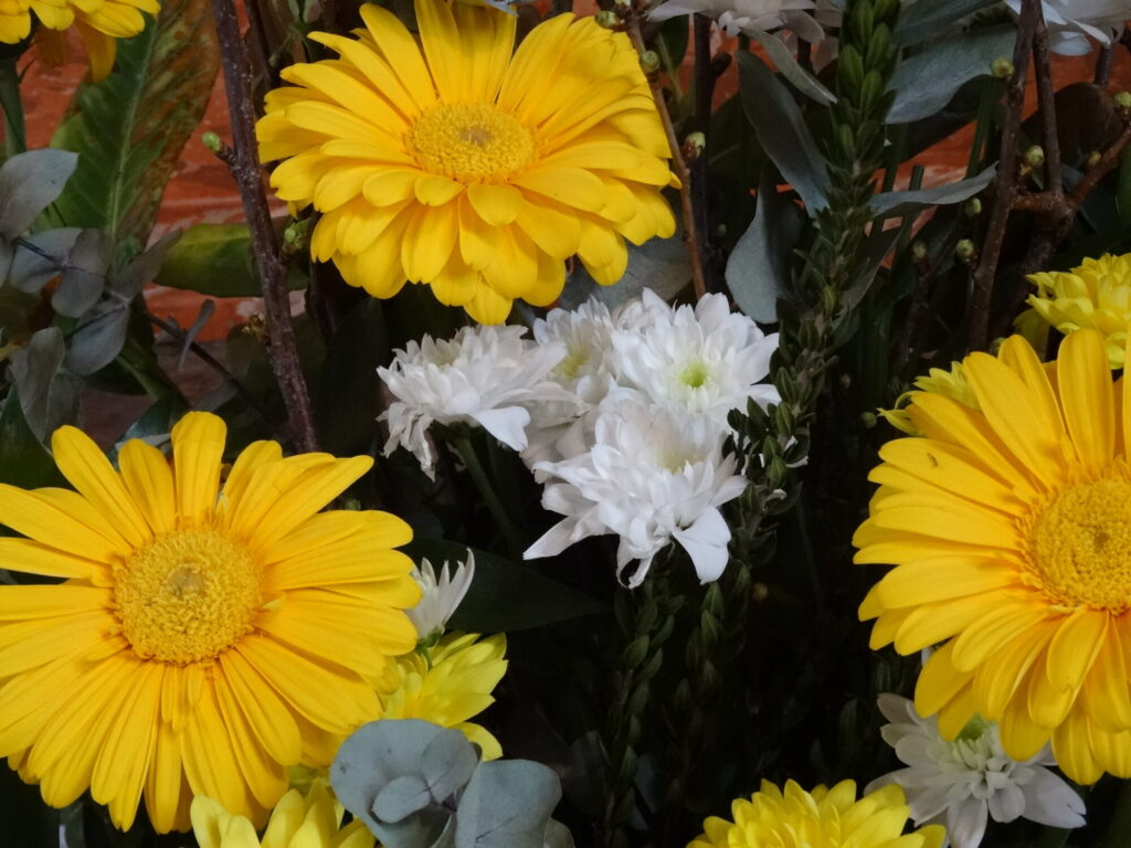 Blumen
