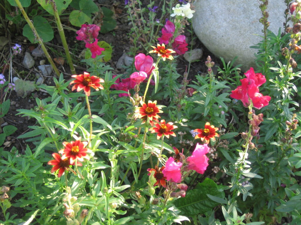 Blumen