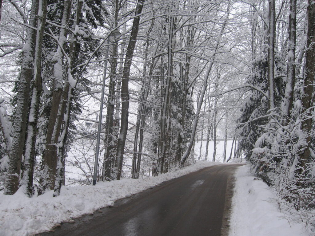 Winter-Wald-Strasse